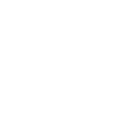 Icône du service au survol