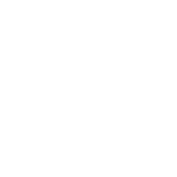 Icône du service au survol